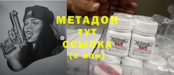 прущие грибы Белоозёрский