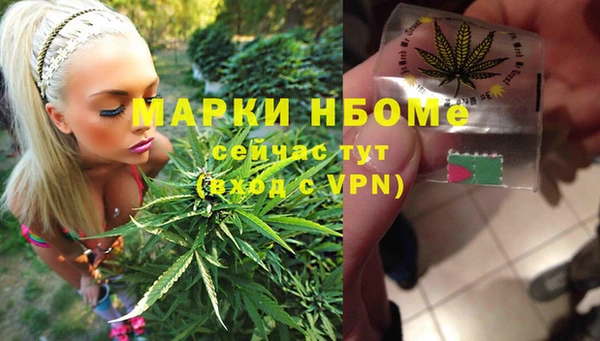 прущие грибы Белоозёрский