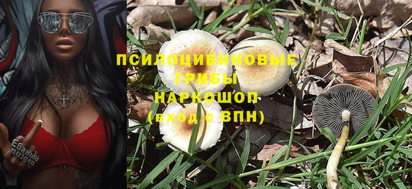 прущие грибы Белоозёрский